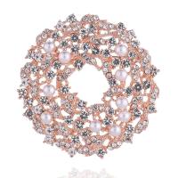 Zinc Alloy Jewelry Brooch, fashion jewelry & for woman & with rhinestone 