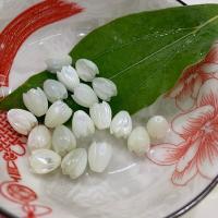 Perles en coquillage blanc naturel, coquille, poli, DIY, blanc, Vendu par PC