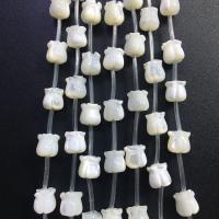 Trochus Beads, Tulip, polished, DIY, white 