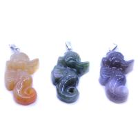 Mixed Agate Pendants, Seahorse, polished, DIY 