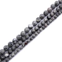 Map Stone Beads, Round, polished, DIY 