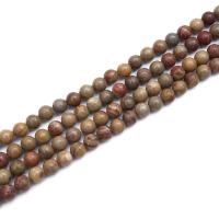 Brecciated Jasper Beads, Jasper Brecciated, Round, polished, DIY 