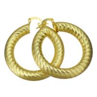 Brass Hoop Earring, gold color plated, for woman 