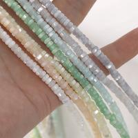 Dyed Shell Beads, Round, polished, DIY 