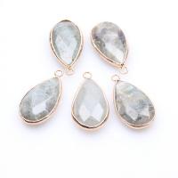 Labradorite Pendants, with Zinc Alloy, Teardrop, gold color plated, DIY 