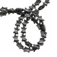 Magnetic Hematite Beads, Turtle, polished, DIY 