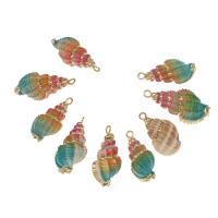 Trompette Shell pendentif en laiton, coquille, avec laiton, conque, Placage de couleur d'or, 45*18*5mm/32*25*2mm, Environ Vendu par sac