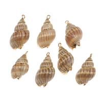 Trompette Shell pendentif en laiton, coquille, avec laiton, conque, Placage de couleur d'or, 31*14*12mm/22*10*9mm, Environ Vendu par sac