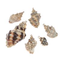 Trompette Shell pendentif en laiton, coquille, avec laiton, conque, Placage de couleur d'or, 23*15*12mm/15*10*8,mm, Environ Vendu par sac