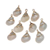 Trompette Shell pendentif en laiton, coquille, avec laiton, conque, Placage de couleur d'or, 51*20*16mm/31*10*9mm, Environ Vendu par sac