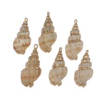 Trompette Shell pendentif en laiton, coquille, avec laiton, conque, Placage de couleur d'or, 35*17*14mm/26*12*10mm, Environ Vendu par sac