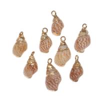 Trompette Shell pendentif en laiton, coquille, avec laiton, conque Environ Vendu par sac