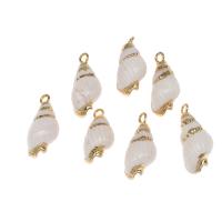 Trompette Shell pendentif en laiton, coquille, avec laiton, conque Environ Vendu par sac