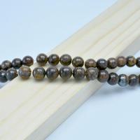 Bronzite Stone Beads, Round, polished, DIY 