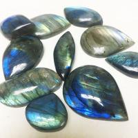 Gemstone Cabochons, Labradorite, natural, mixed colors, 20mm 