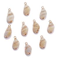 Trompette Shell pendentif en laiton, coquille de trompette, Placage de couleur d'or, DIY, blanc, 15-20mm, Vendu par PC