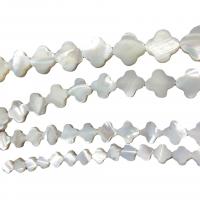 White Lip Shell Beads, Black Lip Shell, DIY 