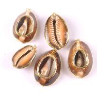 Coque de mer naturelle Pendentif, coquille, Placage, terre de sienne, 10mm, Vendu par PC