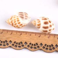 Trompette Shell pendentif en laiton, coquille, couleurs mélangées, 30mm Vendu par sac