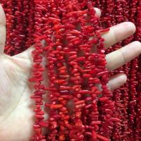 Natural Coral Beads 