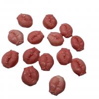 Abalorios de Nácar Rosado Natural, Shell Polvos, con Concha Queen Concha, pulsando, Rosado, Vendido por UD