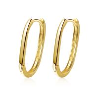 Brass Hoop Earring, plated, for woman 