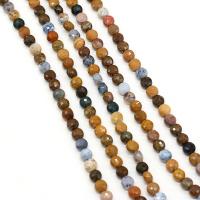 Ocean Jasper Beads, Flat Round, DIY & faceted, mixed colors, 6mm cm 