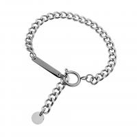 Titane bracelet en acier et bracelet, Acier titane, poli, unisexe & normes différentes pour le choix & chaîne de gourmette, argent Environ 19 cm, Vendu par PC