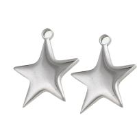 Stainless Steel Star Pendant, original color 