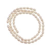 Perlas Arroz Freshwater, Perlas cultivadas de agua dulce, Bricolaje, Blanco, longitud:38 cm, Vendido por Sarta