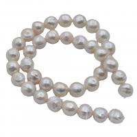 Round Cultured Freshwater Pearl Beads, DIY, white, 10-11mm cm 