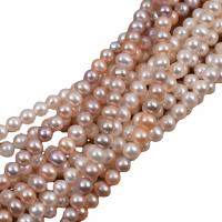 Round Cultured Freshwater Pearl Beads, DIY 7-8mm cm 