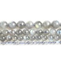 Perles Pierre de lune, Moonstone, Rond, poli, normes différentes pour le choix & styles différents pour le choix, gris Environ 14.57 pouce, Vendu par brin