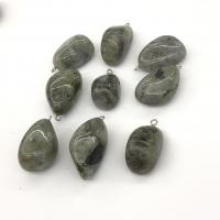 Labradorite Pendants, with Iron, irregular, polished, grey, 17-24mm 