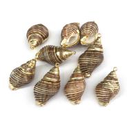 Trompette Shell pendentif en laiton, coquille, conque, DIY, jaune d'or  Vendu par PC