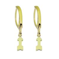 Boucle d'oreille en acier inoxydable Dangle, Acier inoxydable 316, pour femme, doré, 8-15mm, Vendu par PC