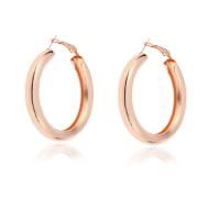 Zinc Alloy Hoop Earring, plated, fashion jewelry & for woman 