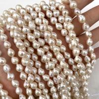 Baroque Cultured Freshwater Pearl Beads, DIY, white, 8-9mm Approx 15 Inch 