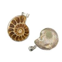 Trompette Shell pendentif en laiton, coquille de trompette, avec laiton, conque, Placage de couleur platine, unisexe, Jaune, 34-38mmx24-28mm, Vendu par PC