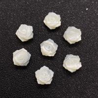 White Lip Shell Beads, DIY  white 