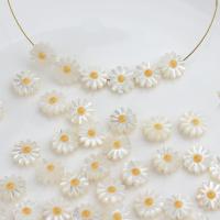 Perles de coquillages blancs, Lèvre blanche, Chrysamthemum, bijoux de mode & DIY & normes différentes pour le choix, Vendu par PC