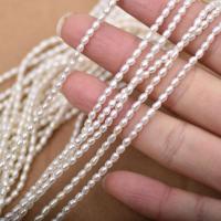 Rice Cultured Freshwater Pearl Beads, DIY white Approx 15 Inch 