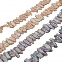 Biwa Cultured Freshwater Pearl Beads, irregular, DIY cm 