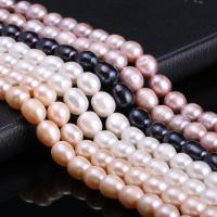 Rice Cultured Freshwater Pearl Beads, DIY 10-11mm Approx 15 Inch 