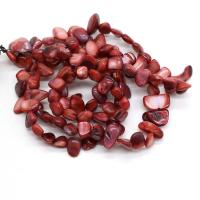 Dyed Shell Beads, DIY, henna, 8x15- cm 