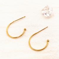 Titanium Steel Earring Hook, for woman 