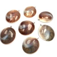 Coquilles-Fossile Pendentif, Irrégulière, unisexe, couleurs mélangées - Vendu par PC