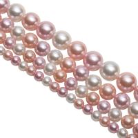 South Sea Shell Beads, Shell Pearl, Round, plated, DIY mixed colors Approx 15.75 Inch 