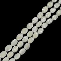 Perles de coquillages blancs, Lèvre blanche, DIY & normes différentes pour le choix, blanc Environ 15 pouce, Vendu par brin