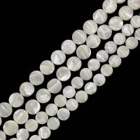 Perles de coquillages blancs, Lèvre blanche, Rond, DIY & normes différentes pour le choix, blanc Environ 15 pouce, Vendu par brin